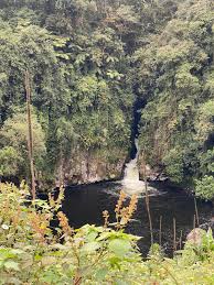Kathandani Forest & Waterfall